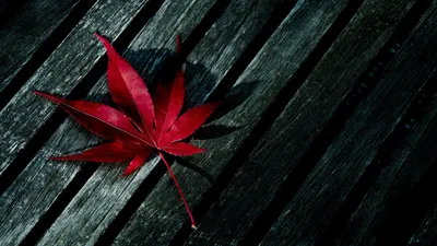 Anime Wallpaper 1918x1078 Abstract Wallpaper 4K 1918x1078 Ultrawide