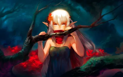 Anime Wallpaper 2558x1598 Abstract Wallpaper 4K 2558x1598 Full HD, Ultrawide