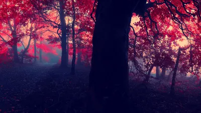 Anime Wallpaper 1918x1078 Abstract Wallpaper 4K 1918x1078 Ultrawide
