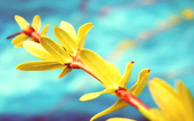 Anime Wallpaper 2558x1598 Abstract Wallpaper 4K 2558x1598 Teal, Full HD, Ultrawide