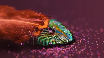 Anime Wallpaper 2558x1438 Abstract Wallpaper 4K 2558x1438 Full HD, Ultrawide