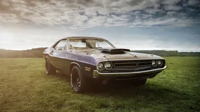 Vintage Car Cave Cars Wallpaper 4K 3840x2160 Gray, White