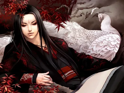 Dark Character Wallpaper Wallpaper 4K, Animals category