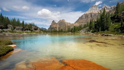 Vivid Landscape Wallpaper Nature Wallpaper 4K 1920x1080