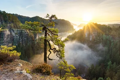 Serene Sunrise Wallpaper Nature Wallpaper 4K 4499x3000