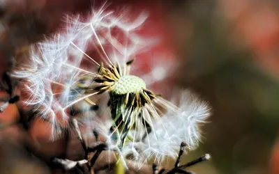 Anime Wallpaper 2558x1598 Abstract Wallpaper 4K 2558x1598 Full HD, Ultrawide