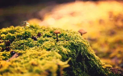 Epic Close Wallpaper Wallpaper 4K, Abstract category