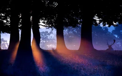 Anime Wallpaper 1918x1198 Abstract Wallpaper 4K 1918x1198 Blue, Ultrawide