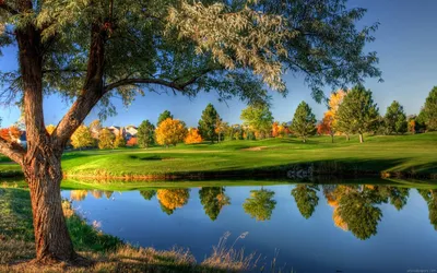 Nature Nature Wallpaper 4K, Nature category