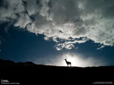Anime Wallpaper 1598x1198 Abstract Wallpaper 4K 1598x1198 Landscape