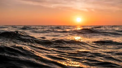 Bold Golden Wallpaper Wallpaper 4K, Nature category