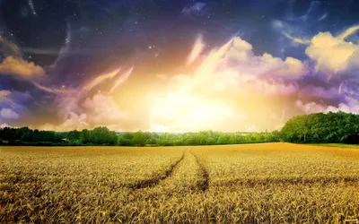 Anime Wallpaper 2558x1598 Abstract Wallpaper 4K 2558x1598 Ultrawide, Full HD