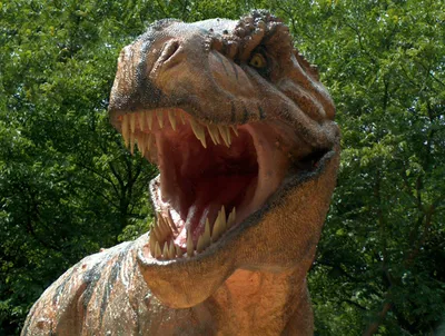 Crisp Definition Wallpaper Abstract Wallpaper 4K 1600x1206 A, High-definition, Desktop, Wallpaper, Featuring, Roaring, Tyrannosaurus, Rex, Against, Backdrop, Lush, Greenery, Brown, Landscape