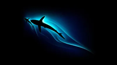 Epic Silhouette Wallpaper Black/Dark Wallpaper 4K 1920x1080 Hd, Desktop, Wallpaper, Featuring, The, Silhouette, Of, A, Shark, Illuminated, Glowing, Blue, Brown, Yellow, Green, Ultrawide, Full HD