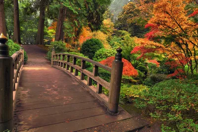 Dreamy Picturesque Wallpaper World Wallpaper 4K 3000x2000 A, Picturesque, Wooden, Bridge, In, Lush, Park, Surrounded, Vibrant, Autumn, Foliage, Scene, Brown, Landscape, QHD