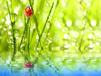 Anime Wallpaper 3998x2998 Abstract Wallpaper 4K 3998x2998 Landscape, 4k