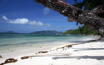 Vibrant Serene Wallpaper Wallpaper 4K, Nature category