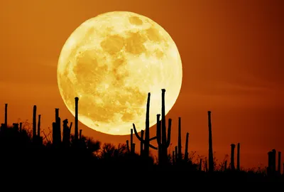 Full Moon Rising Wallpaper 4K, Nature category