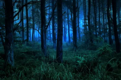 Sleek Night Wallpaper Wallpaper 4K, Nature category