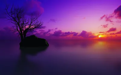 Anime Wallpaper 2558x1598 Abstract Wallpaper 4K 2558x1598 Full HD, Ultrawide
