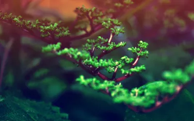 Anime Wallpaper 2558x1598 Abstract Wallpaper 4K 2558x1598 Full HD, Ultrawide