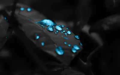 Anime Wallpaper 2558x1598 Abstract Wallpaper 4K 2558x1598 Full HD, Ultrawide