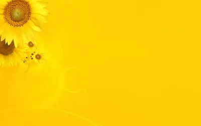 Anime Wallpaper 1918x1198 Abstract Wallpaper 4K 1918x1198 Ultrawide