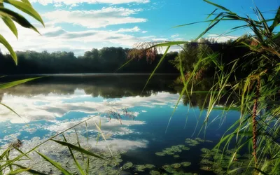 Anime Wallpaper 1918x1198 Abstract Wallpaper 4K 1918x1198 Ultrawide