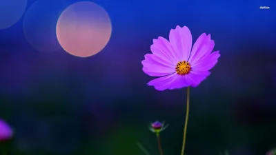 Anime Wallpaper 1918x1078 Abstract Wallpaper 4K 1918x1078 Ultrawide