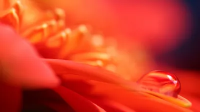 Anime Wallpaper 1598x898 Abstract Wallpaper 4K 1598x898 Ultrawide