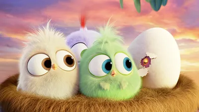 Bold Characters Wallpaper Wallpaper 4K, Animals category