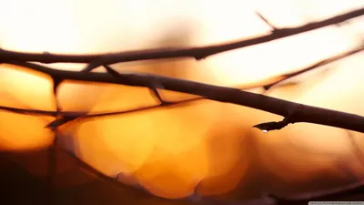 Anime Wallpaper 2558x1438 Abstract Wallpaper 4K 2558x1438 Full HD, Ultrawide