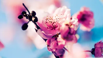 Anime Wallpaper 2398x1348 Abstract Wallpaper 4K 2398x1348 Full HD, Ultrawide