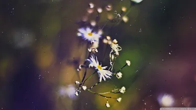 Anime Wallpaper 1918x1078 Abstract Wallpaper 4K 1918x1078 Ultrawide