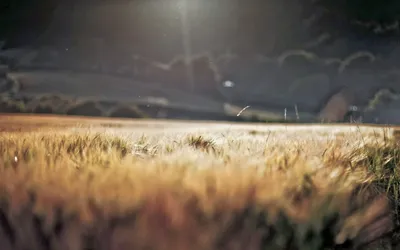 Anime Wallpaper 1918x1198 Abstract Wallpaper 4K 1918x1198 Ultrawide