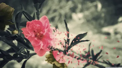 Anime Wallpaper 2878x1618 Abstract Wallpaper 4K 2878x1618 Ultrawide, QHD