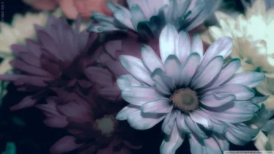 Anime Wallpaper 1918x1078 Abstract Wallpaper 4K 1918x1078 Ultrawide