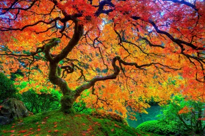 Anime Wallpaper 2046x1363 Abstract Wallpaper 4K 2046x1363 Full HD, Ultrawide