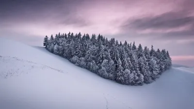 Anime Wallpaper 2558x1438 Abstract Wallpaper 4K 2558x1438 Full HD, Ultrawide