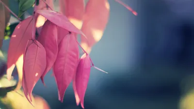 Anime Wallpaper 1918x1078 Abstract Wallpaper 4K 1918x1078 Ultrawide