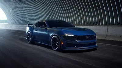 Moody Mustang Wallpaper Animals Wallpaper 4K 3840x2160