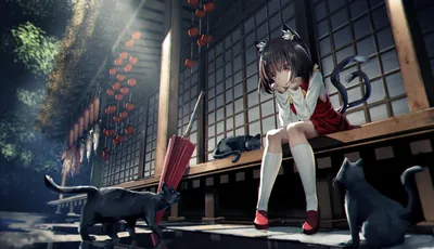 Bold Chen Wallpaper Black/Dark Wallpaper 4K 3000x1726 Chen, Touhou, Anime, Wallpaper, Kitten-eared, Girl, In, School, Uniform, Sits, Wooden, Gray, Ultrawide, QHD