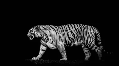 Dark Images Black-dark Black/Dark Wallpaper 4K 3840x2160