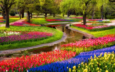 Beautifully Photographed Park Colorful Flower Abstract Wallpaper 4K 2880x1800 Hd, Desktop, Wallpaper, Featuring, A, Beautifully, Photographed, Park, Colorful, Flower, Beds, Meandering, Brown, Pink, Ultrawide, QHD