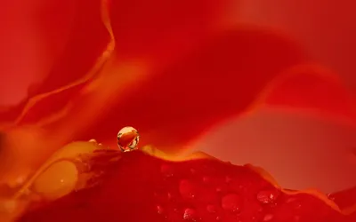 Anime Wallpaper 1918x1198 Abstract Wallpaper 4K 1918x1198 Ultrawide