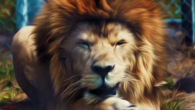 Majestic Lion Rich Animals Wallpaper 4K 1920x1080 Hd, Desktop, Wallpaper, Featuring, A, Majestic, Lion, With, Rich, Flowing, Mane, Set, Orange, White, Gray, Ultrawide, Full HD