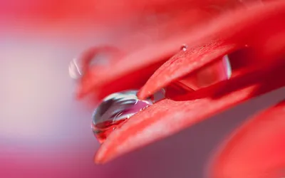 Anime Wallpaper 2558x1598 Abstract Wallpaper 4K 2558x1598 Ultrawide, Full HD