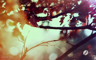 Anime Wallpaper 1918x1198 Abstract Wallpaper 4K 1918x1198 Ultrawide