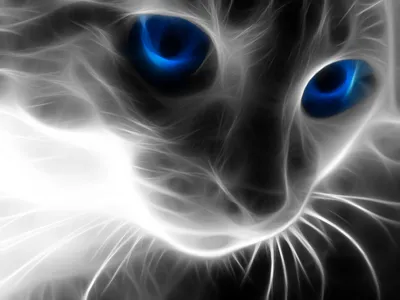Calm Definition Wallpaper Animals Wallpaper 4K 2560x1920 A, High-definition, Desktop, Wallpaper, Featuring, An, Artistic, Close-up, Cat, Striking, Blue, Eyes, White, Landscape, QHD