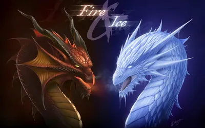 Fantasy Two Dragons One Fiery Fantasy Wallpaper 4K 1920x1200 Hd, Desktop, Wallpaper, Featuring, A, Fantasy, Scene, With, Two, Dragons, One, Fiery, Gray, White, Ultrawide, Full HD